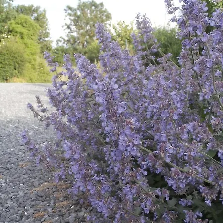 D'hôtes L'ermite 3* Saint-Algis