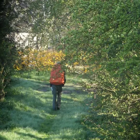 Couette-café D'hôtes L'ermite