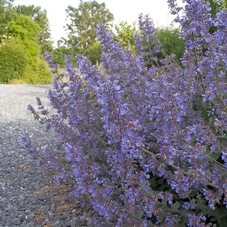 D'hotes L'ermite Bed and Breakfast 3*