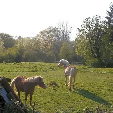D'hotes L'ermite Bed and Breakfast Saint-Algis