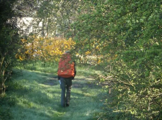 Couette-café D'hôtes L'ermite